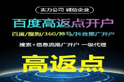 某企业SEM广告投放的转化率提升秘诀